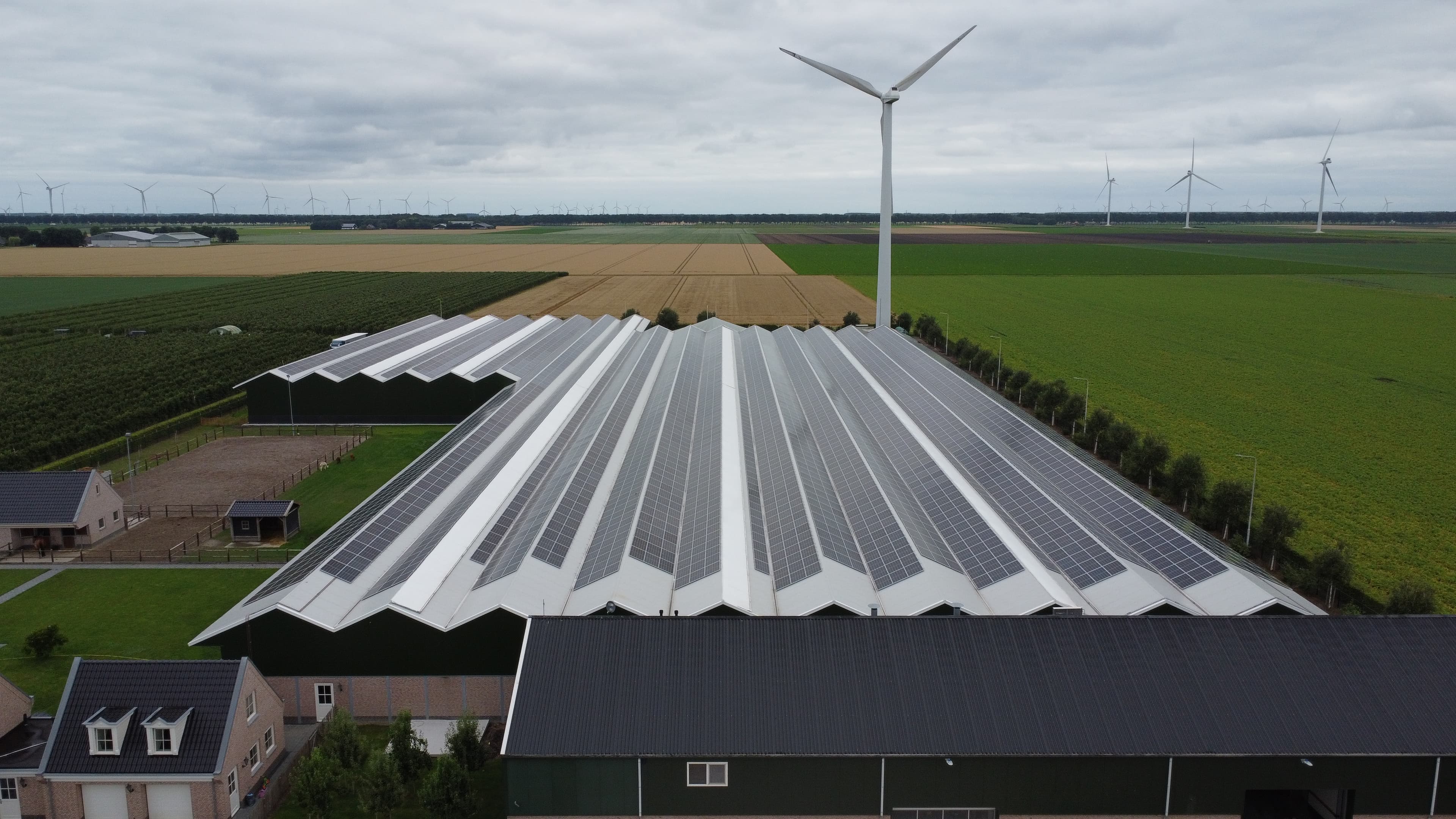 Tegelen freefield project in the Netherlands. Pozemní projekt fotovoltaické elektrárny Tegelen v Nizozemsku