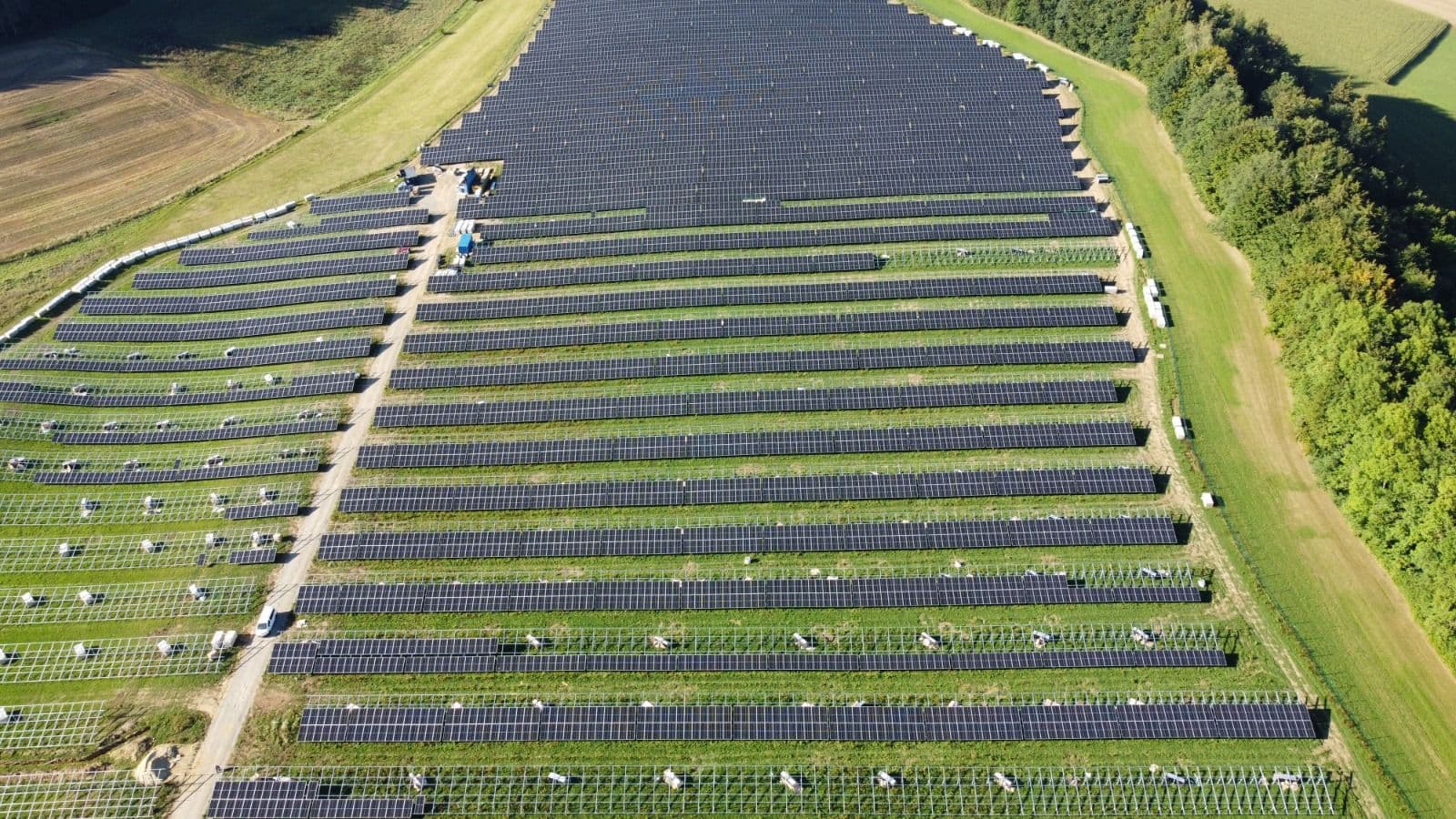 Rickertsreute, AT - 12 MWp freefield